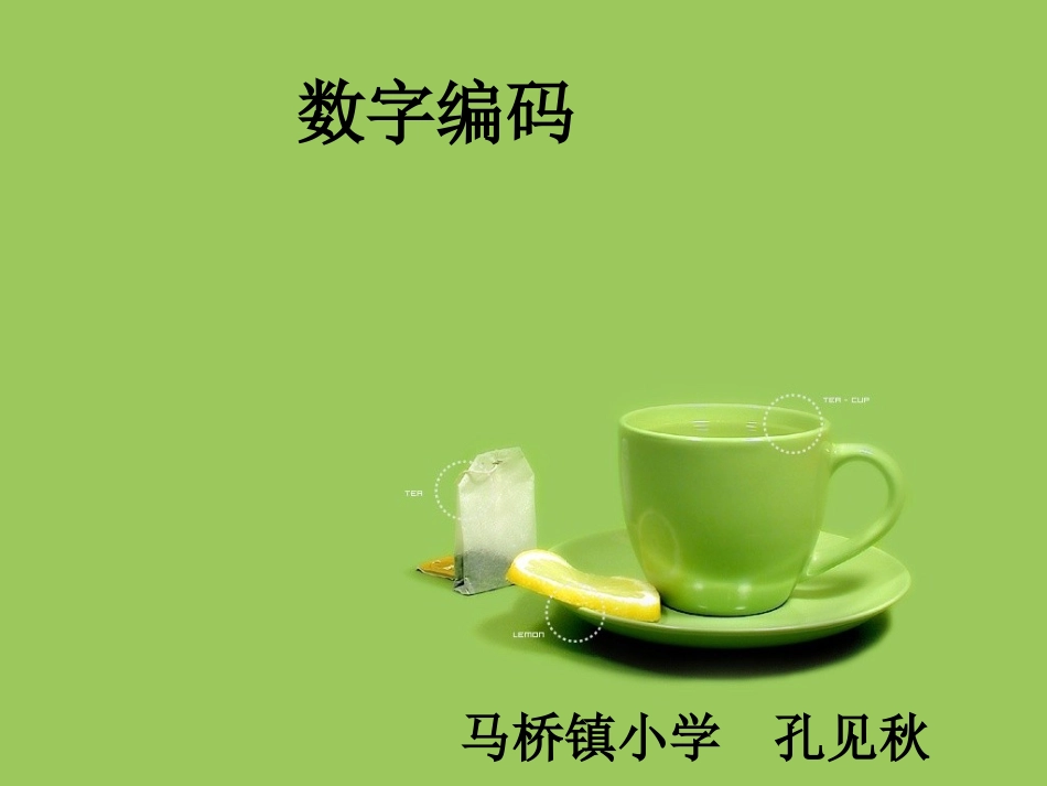 数字编码 (2)_第1页