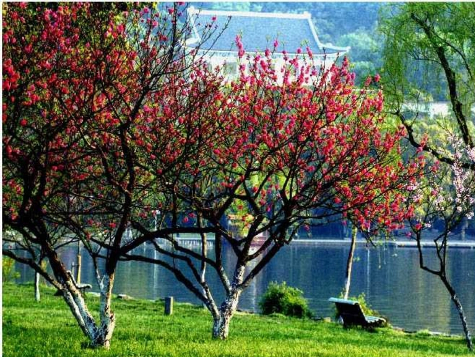 明天不封阳台_第1页