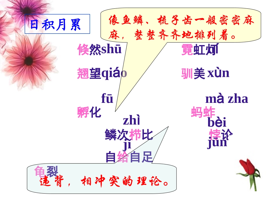 明天不封阳台_第3页