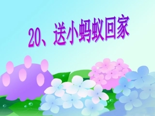送小蚂蚁回家