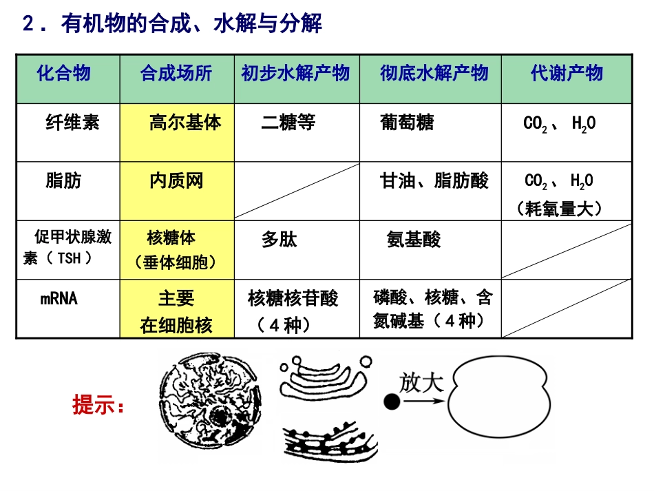 第1讲细胞的分子组成_第3页