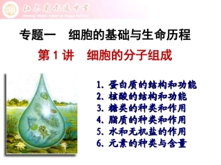第1讲细胞的分子组成