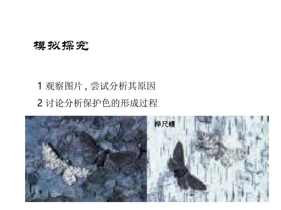 [苏科版]江苏省太仓市第二中学八年级生物下册生物进化的原因课件7_第2页