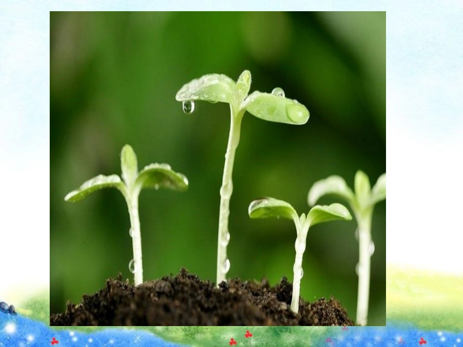 表达你对生命的认识_第2页