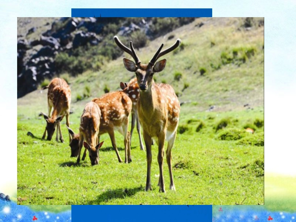 表达你对生命的认识_第3页