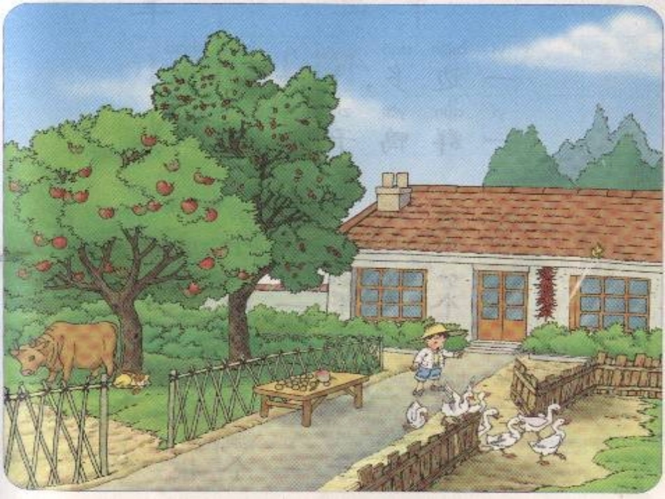 《比一比》课件1_第1页