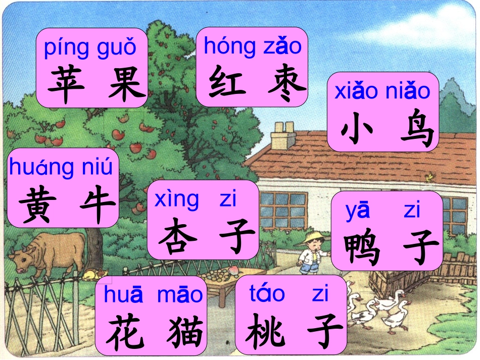 《比一比》课件1_第2页