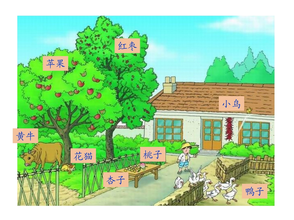 《比一比》课件1_第3页