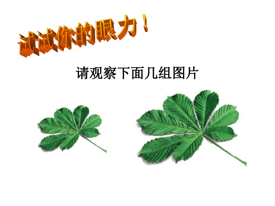 名校课件27.1图形的相似_第2页