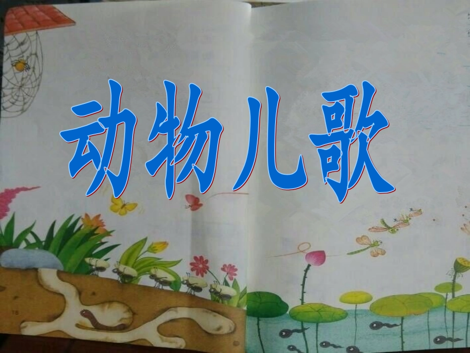 《动物儿歌》_第1页