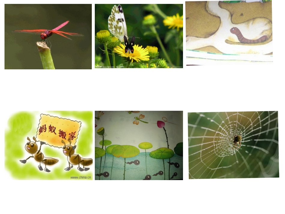 《动物儿歌》_第2页