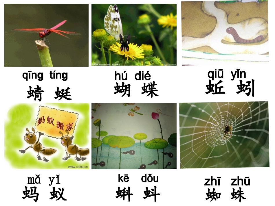 《动物儿歌》_第3页