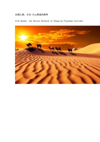 丝绸之路：长安-天山廊道的路网