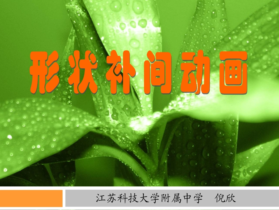 形状补间动画课件_第1页