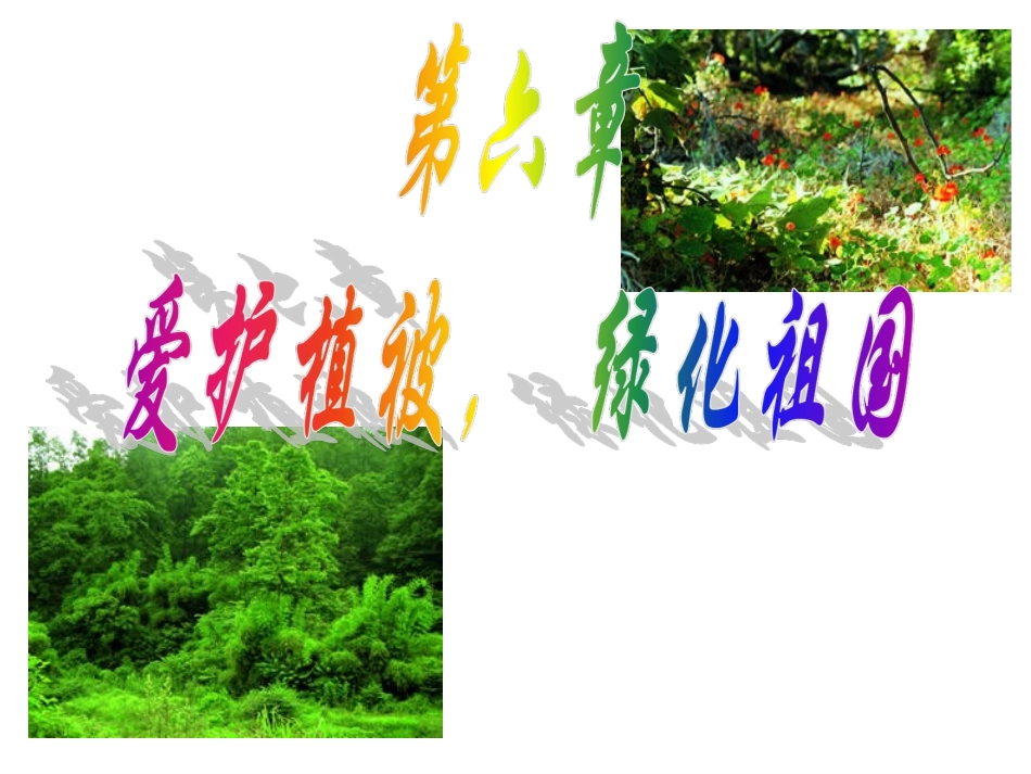 _4爱护植被绿化祖国_第1页