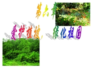 _4爱护植被绿化祖国