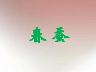 《春蚕》课件-2