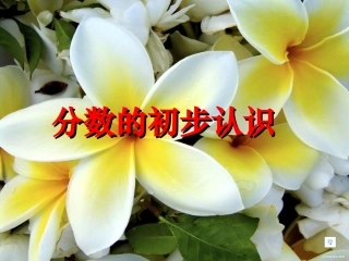 新人教版三年级上册《认识几分之一》