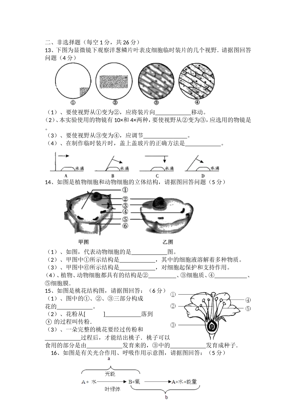 2017下七年级生物联考试卷_第2页