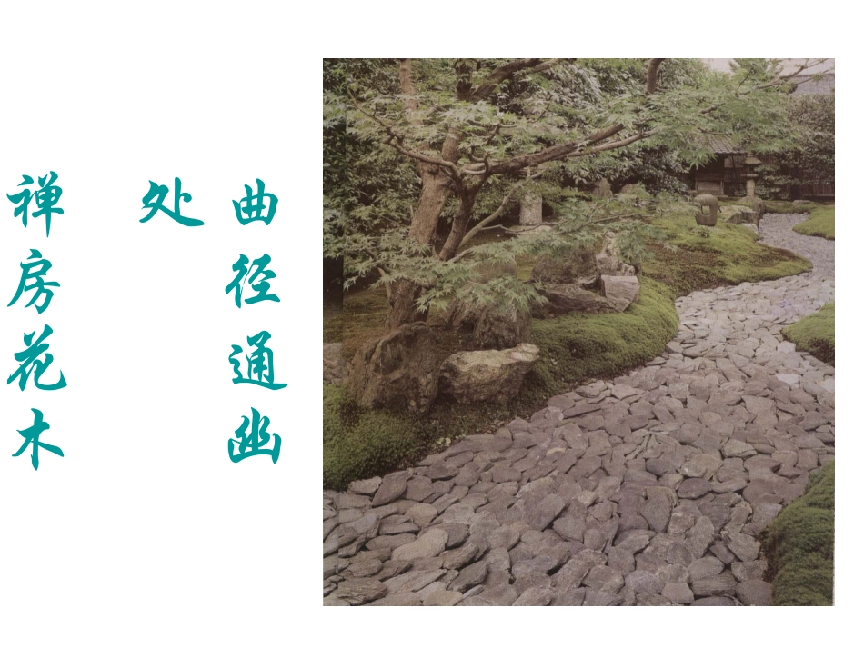 中考复习-古诗词赏析_第3页