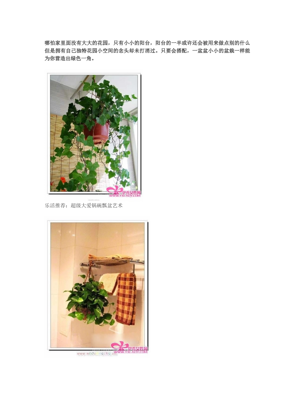 哪怕家里面没有大大的花园_第1页