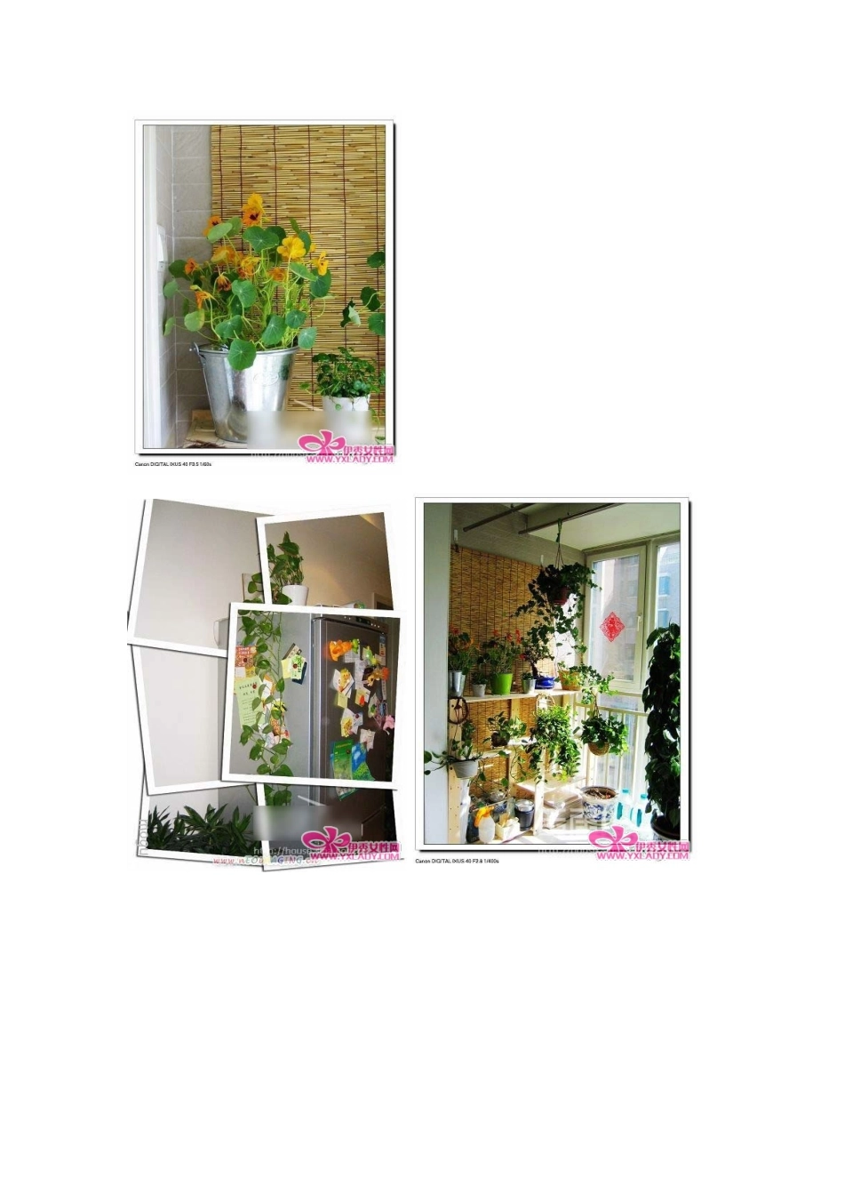 哪怕家里面没有大大的花园_第2页