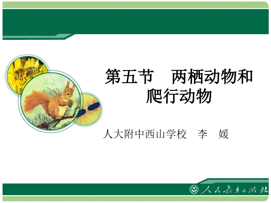 《两栖动物和爬行动物》教学课件_第1页
