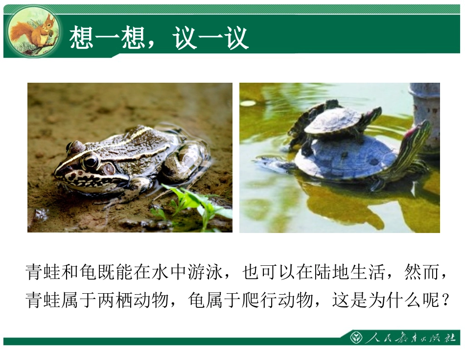 《两栖动物和爬行动物》教学课件_第2页
