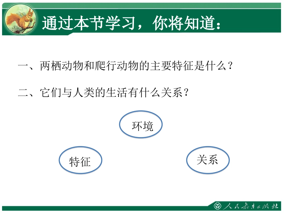 《两栖动物和爬行动物》教学课件_第3页