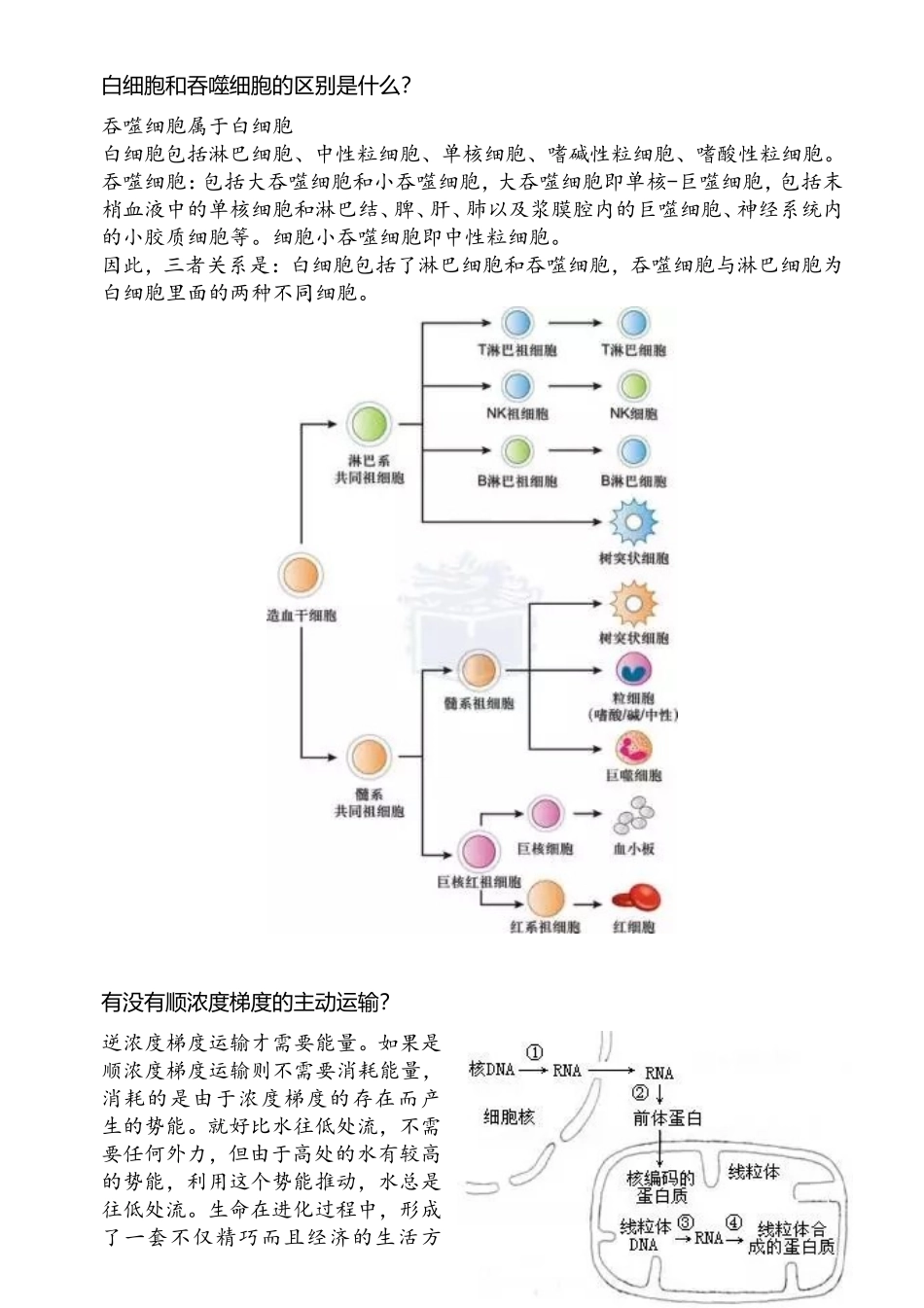 白细胞和吞噬细胞的区别是什么_第1页