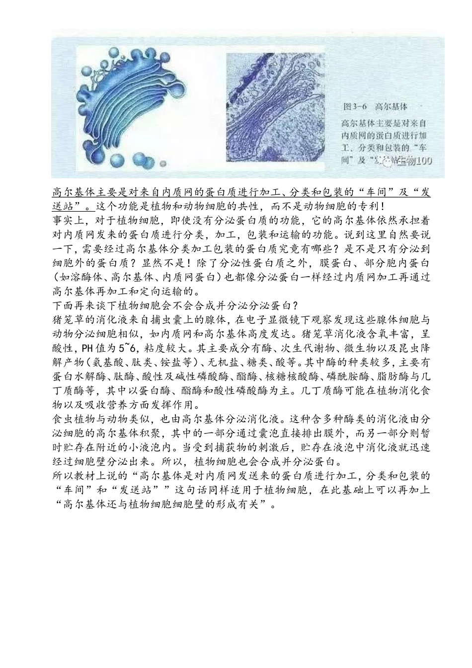 白细胞和吞噬细胞的区别是什么_第3页