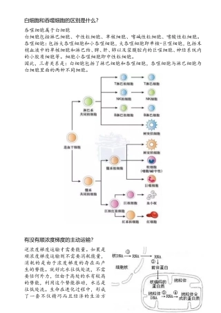 白细胞和吞噬细胞的区别是什么