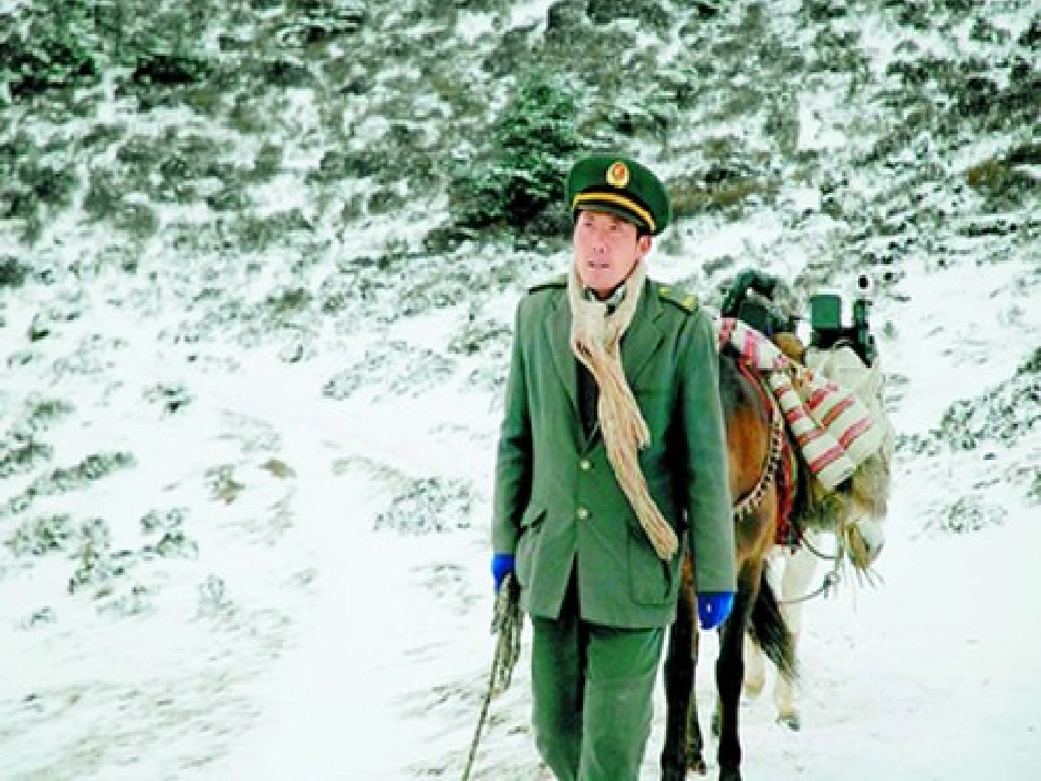 10.信客(杨)_第1页