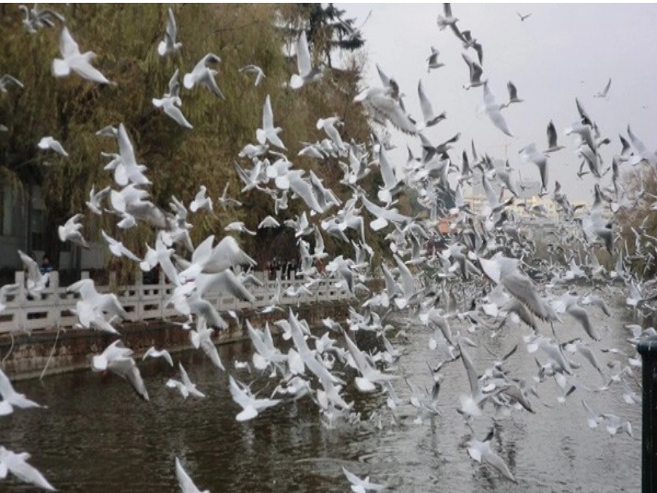 《老人与海》课件_第3页