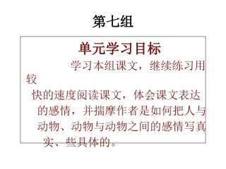 《老人与海》课件