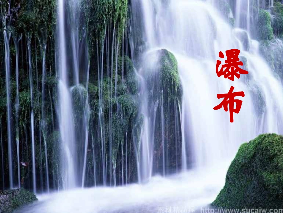 紫藤萝瀑布()_第3页