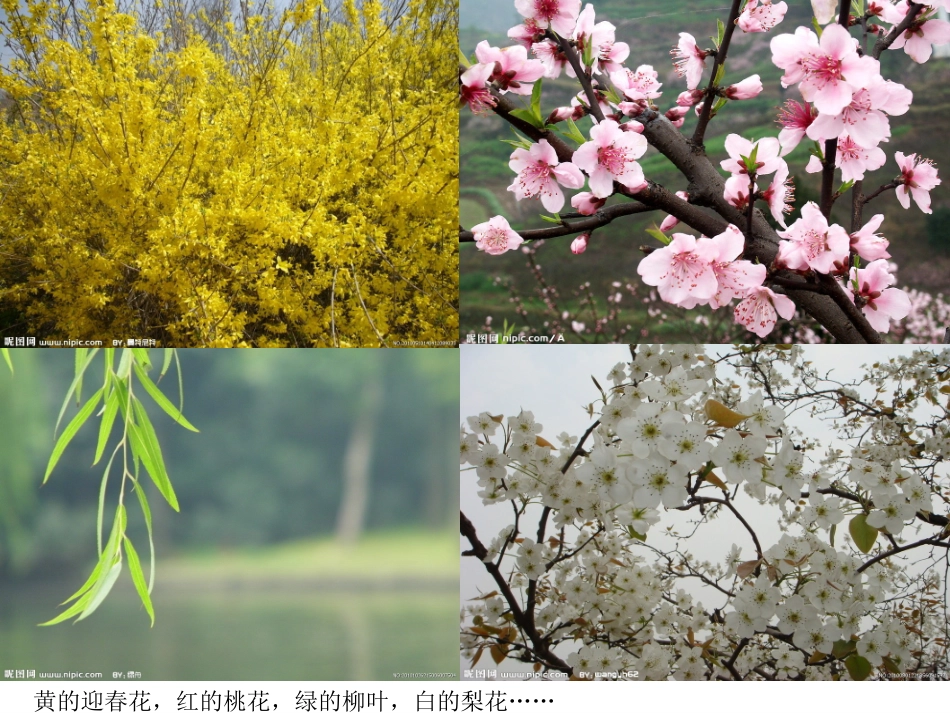 大班诗歌：春天_第3页