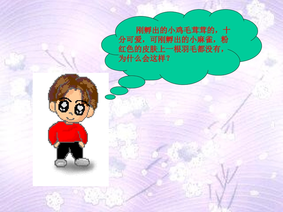 第一章第四节鸟的生殖和发育_第3页