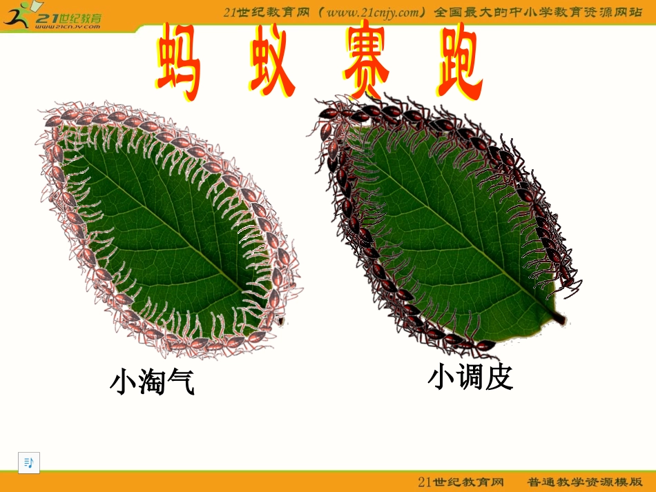 三年级数学上册五周长1什么是周长第一课时课件_第2页