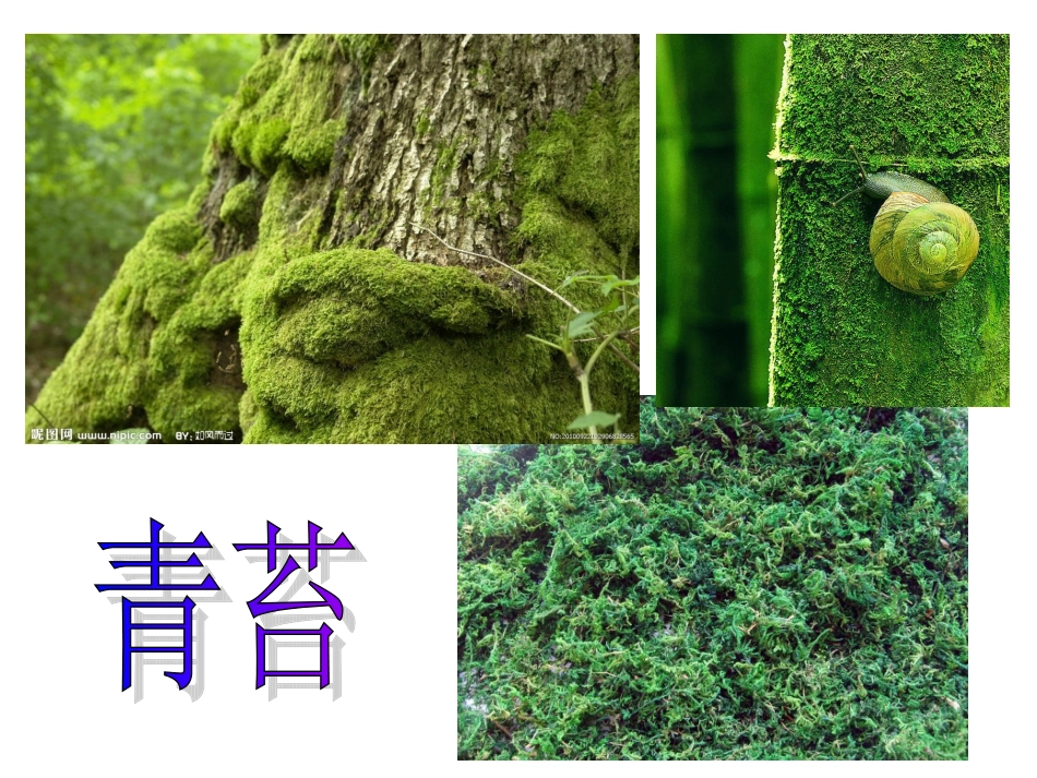 1.4.怎样放得更大_第2页