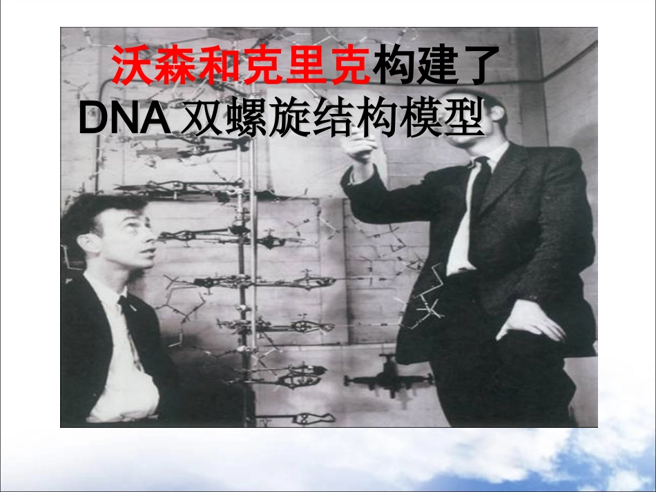 DNA分子的复制_第3页