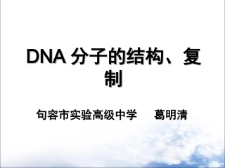 DNA分子的复制