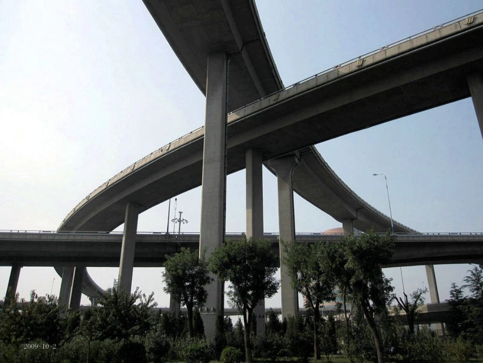 小树叶给大树妈妈的一封信_第2页