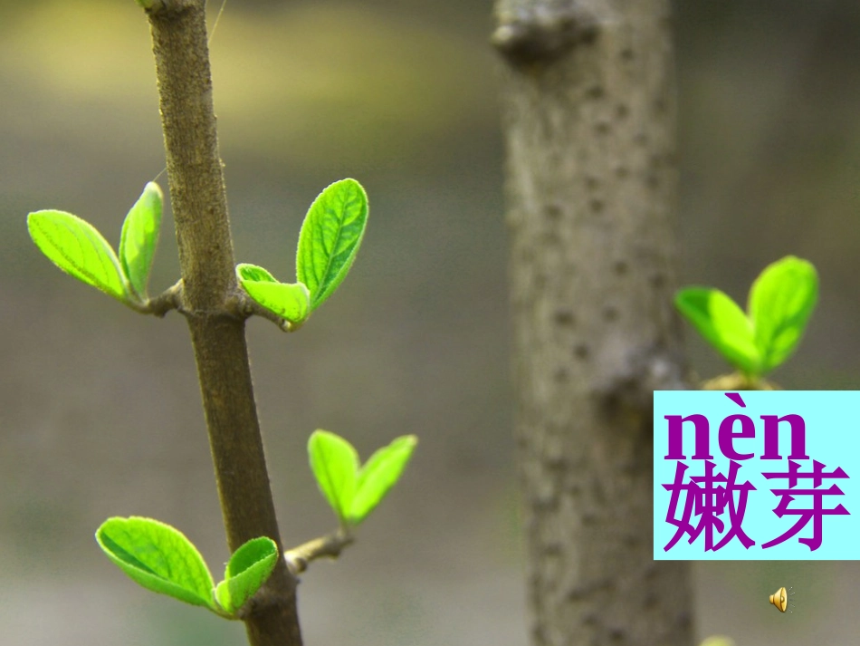 第一课找春天_第2页