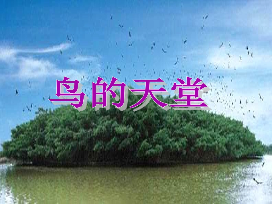 人教版四年级语文上册《鸟的天堂》PPT课件_第1页