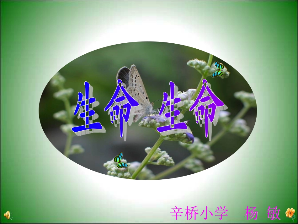 《生命生命》课件_第1页