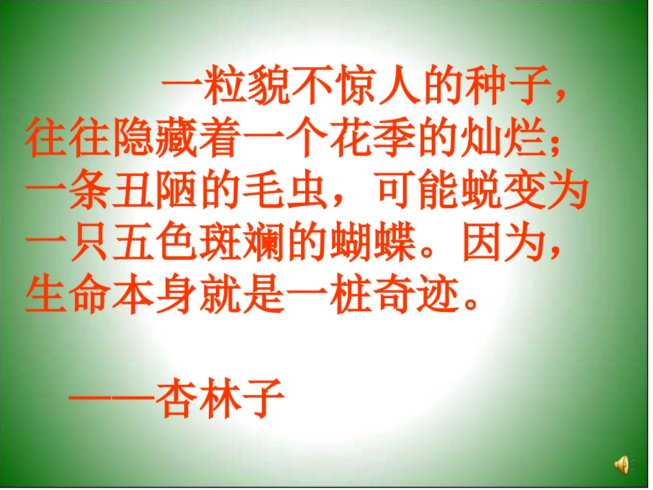 《生命生命》课件_第2页