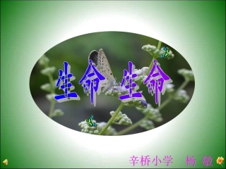 《生命生命》课件