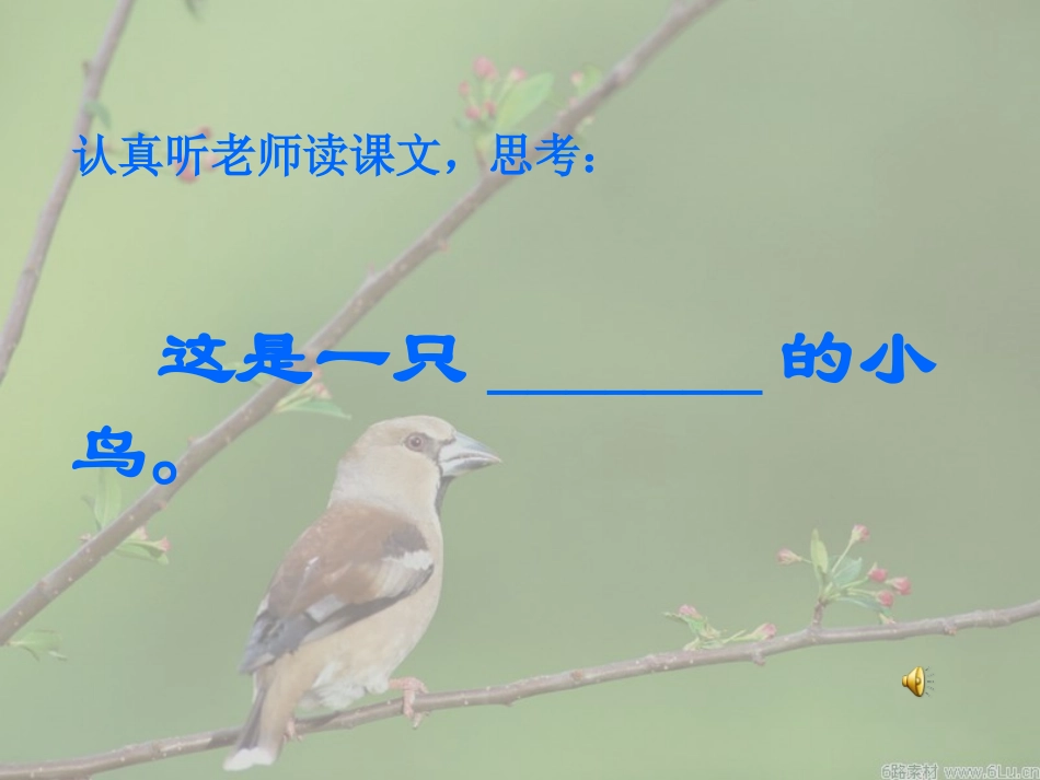 一只小鸟课件_第3页