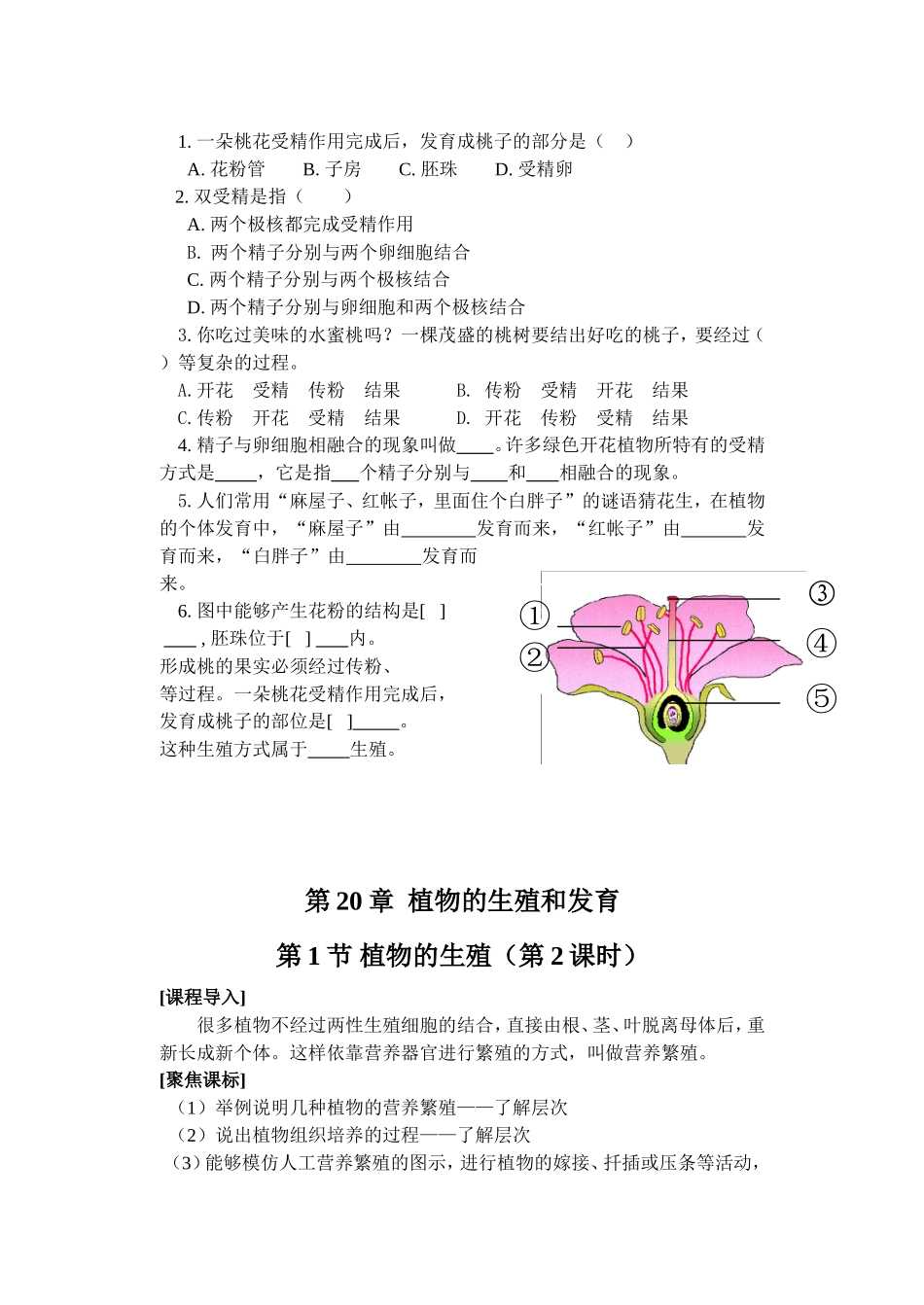 20植物的生殖和发育_第2页